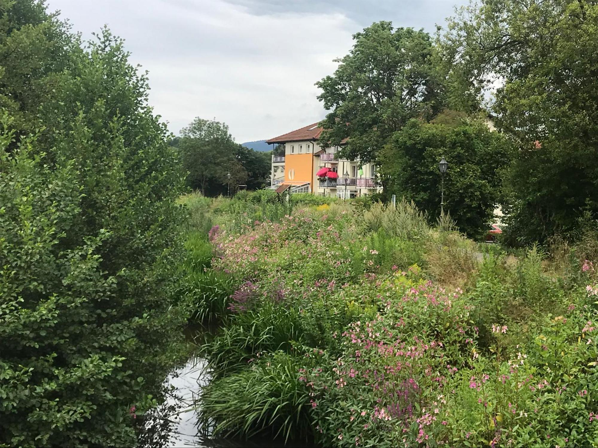 Ferienresidenz Am Weissen Regen Appartement Kötzting Buitenkant foto